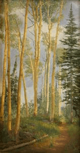 Quaking Aspens, Brighton picture