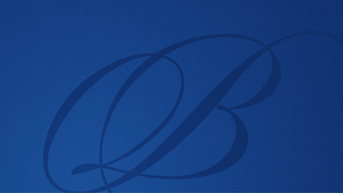 The Burton Awards logo